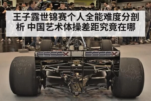 王子露世锦赛个人全能难度分剖析 中国艺术体操差距究竟在哪